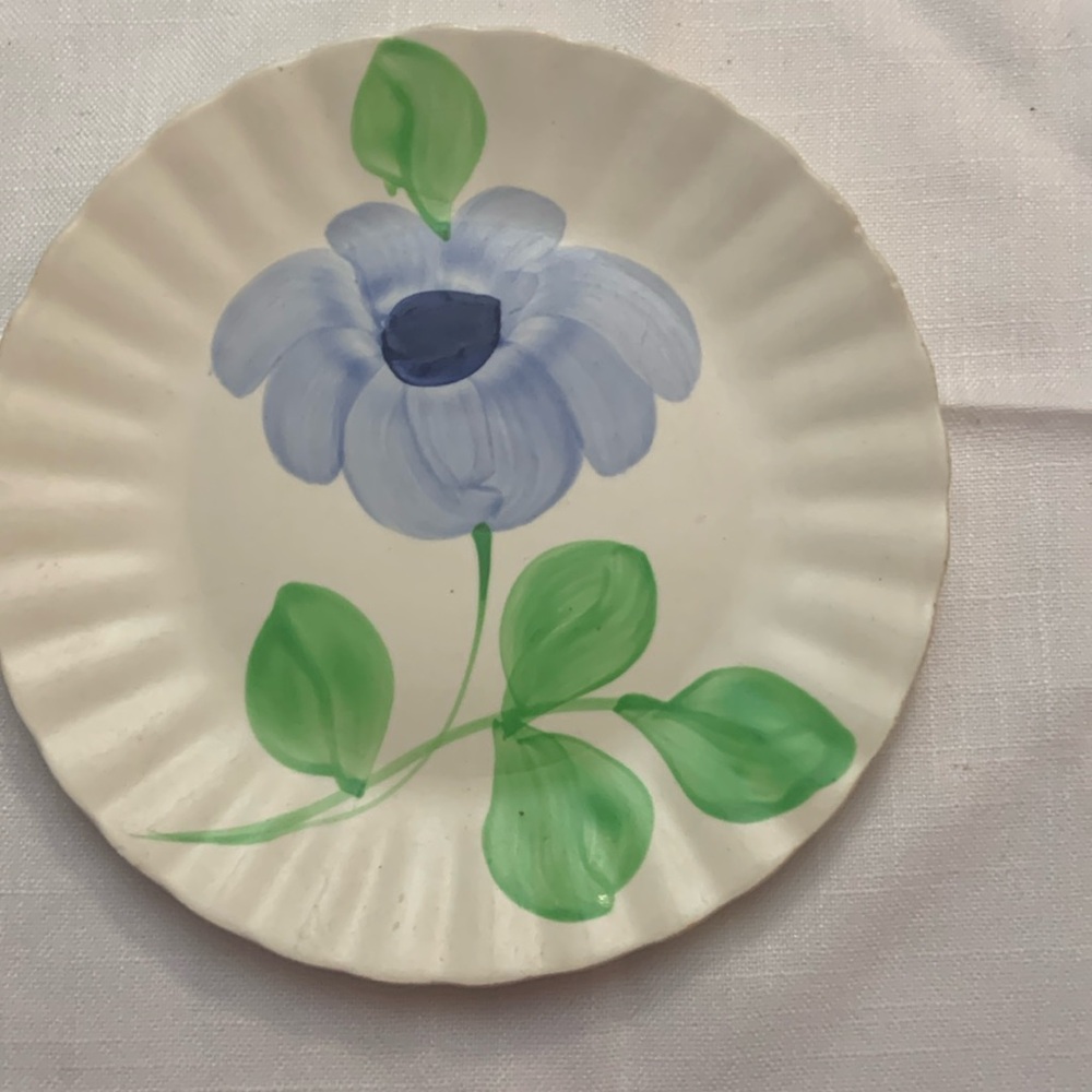 Blue ridge hand painted southern potteries